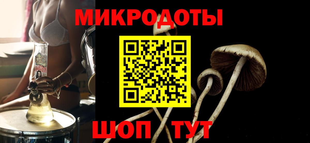 Галлюциногенные грибы Psilocybe  Галлюциногенные грибы GOLDEN TEACHER  как найти наркотики  Вход с VPN  Нижнеудинск 